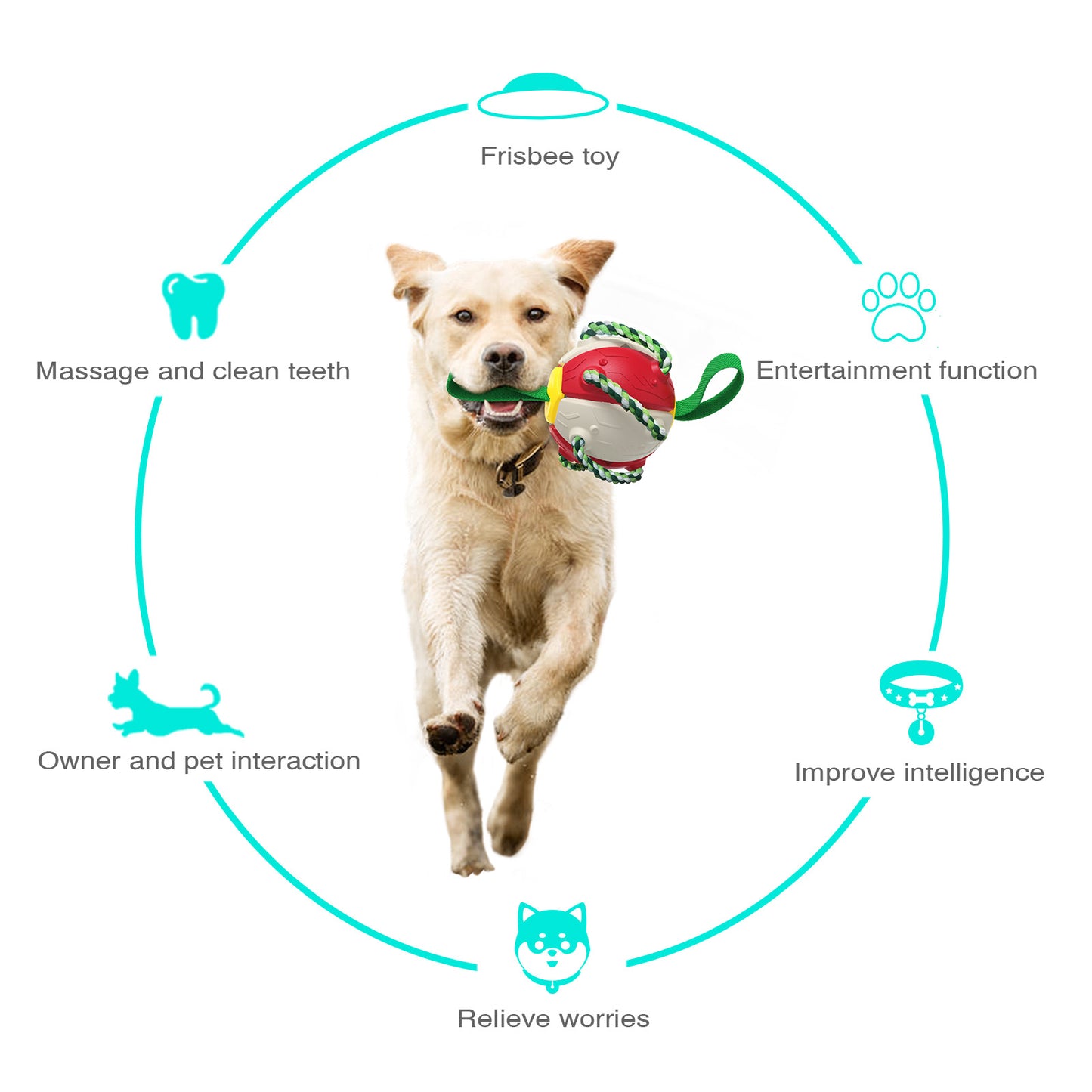 Interactive Dog Toy